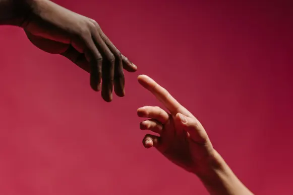 Kasyno Vegas Crest Wsparcie